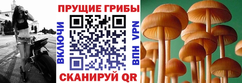 Псилоцибиновые грибы ЛСД  Льгов 